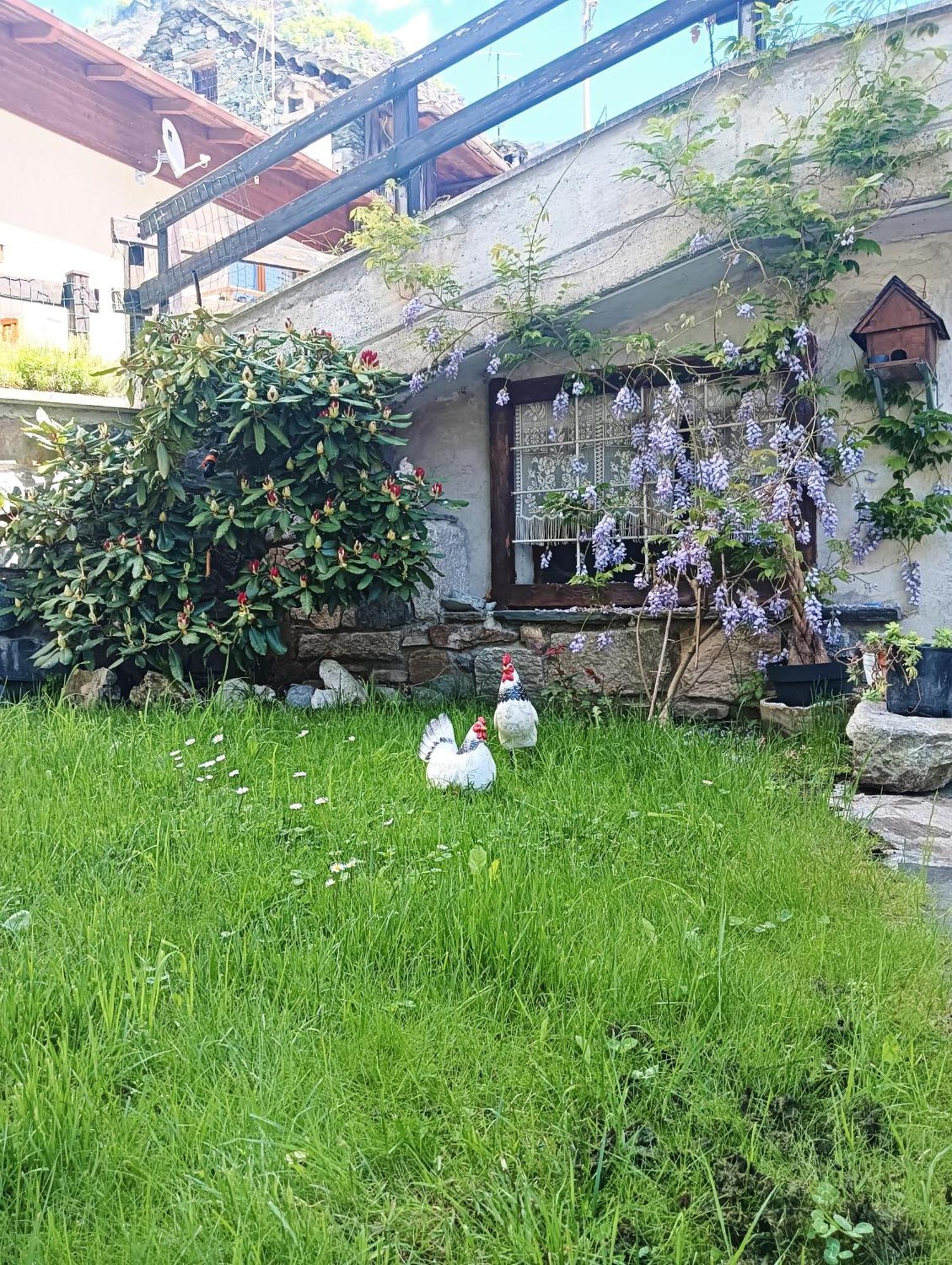 Villa Casa Della Nonna Antronapiana Exterior foto