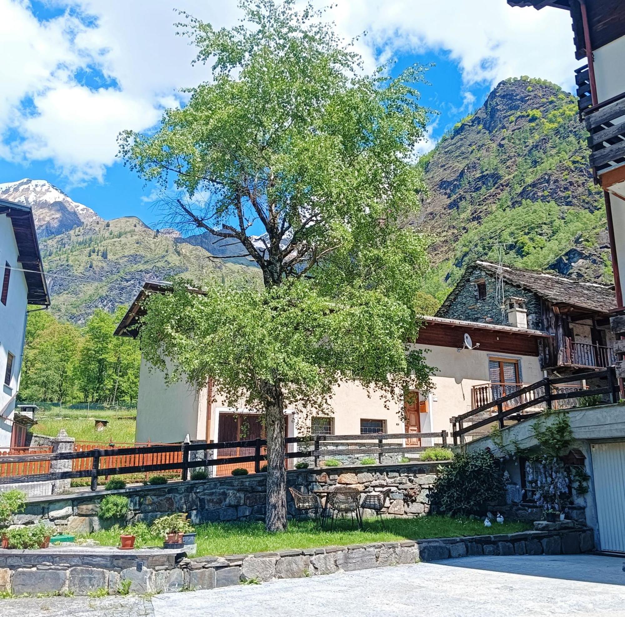 Villa Casa Della Nonna Antronapiana Exterior foto